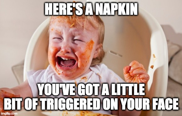 HERE'S A NAPKIN YOU'VE GOT A LITTLE BIT OF TRIGGERED ON YOUR FACE | made w/ Imgflip meme maker