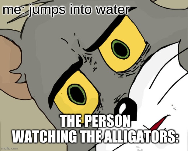 Unsettled Tom | me: jumps into water; THE PERSON WATCHING THE ALLIGATORS: | image tagged in memes,unsettled tom | made w/ Imgflip meme maker