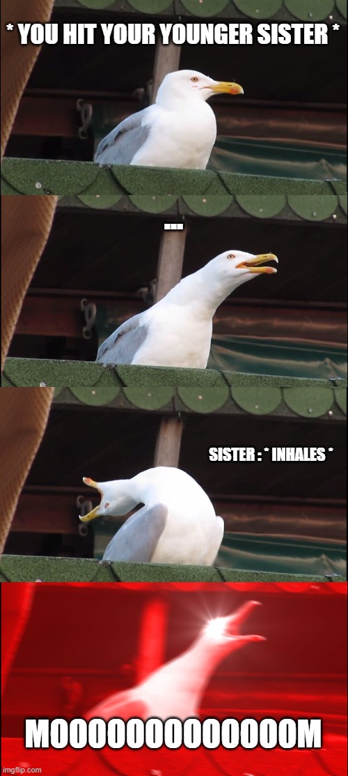 Inhaling Seagull Meme | * YOU HIT YOUR YOUNGER SISTER *; ... SISTER : * INHALES *; MOOOOOOOOOOOOOM | image tagged in memes | made w/ Imgflip meme maker