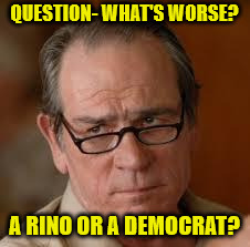 my face when someone asks a stupid question | QUESTION- WHAT'S WORSE? A RINO OR A DEMOCRAT? | image tagged in my face when someone asks a stupid question | made w/ Imgflip meme maker