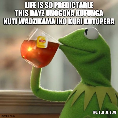 But That's None Of My Business | LIFE IS SO PREDICTABLE THIS DAYZ UNOGONA KUFUNGA KUTI WADZIKAMA IKO KURI KUTOPERA; @L . E . B . O . Z . W | image tagged in memes,but that's none of my business,kermit the frog | made w/ Imgflip meme maker