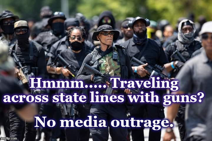 protestors | Hmmm..... Traveling across state lines with guns? No media outrage. | image tagged in protestors | made w/ Imgflip meme maker