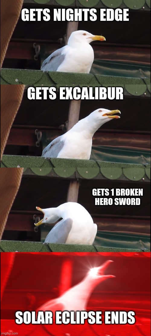 Inhaling Seagull | GETS NIGHTS EDGE; GETS EXCALIBUR; GETS 1 BROKEN HERO SWORD; SOLAR ECLIPSE ENDS | image tagged in memes,inhaling seagull | made w/ Imgflip meme maker