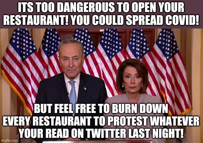To think these two clowns brought The Purge to America. Good job Democrats. | ITS TOO DANGEROUS TO OPEN YOUR RESTAURANT! YOU COULD SPREAD COVID! BUT FEEL FREE TO BURN DOWN EVERY RESTAURANT TO PROTEST WHATEVER YOUR READ ON TWITTER LAST NIGHT! | image tagged in pelosi and schumer,the purge | made w/ Imgflip meme maker