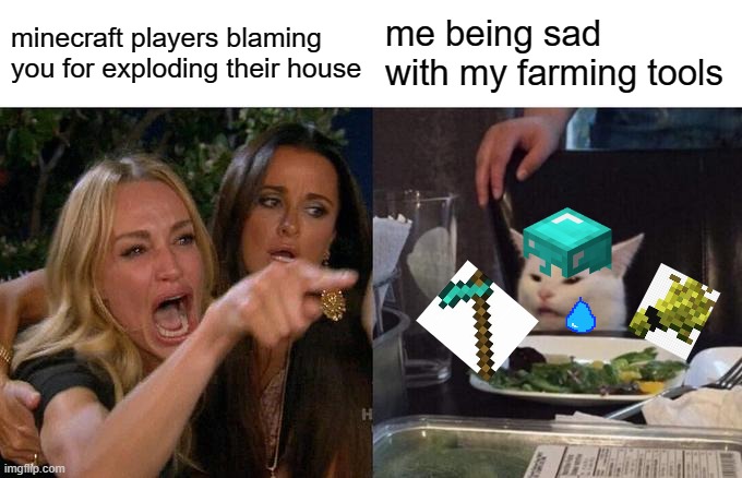 minecraft | minecraft players blaming you for exploding their house; me being sad with my farming tools | image tagged in memes,woman yelling at cat | made w/ Imgflip meme maker