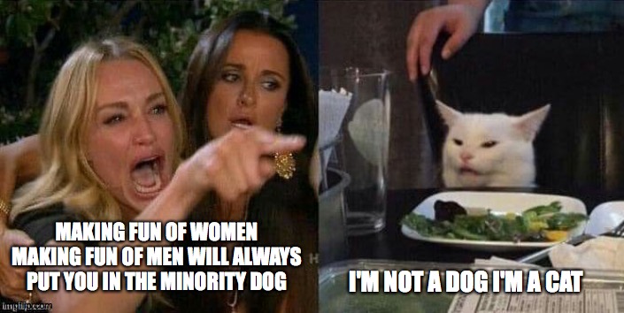 Woman yeling at cat | MAKING FUN OF WOMEN MAKING FUN OF MEN WILL ALWAYS PUT YOU IN THE MINORITY DOG; I'M NOT A DOG I'M A CAT | image tagged in woman yeling at cat | made w/ Imgflip meme maker