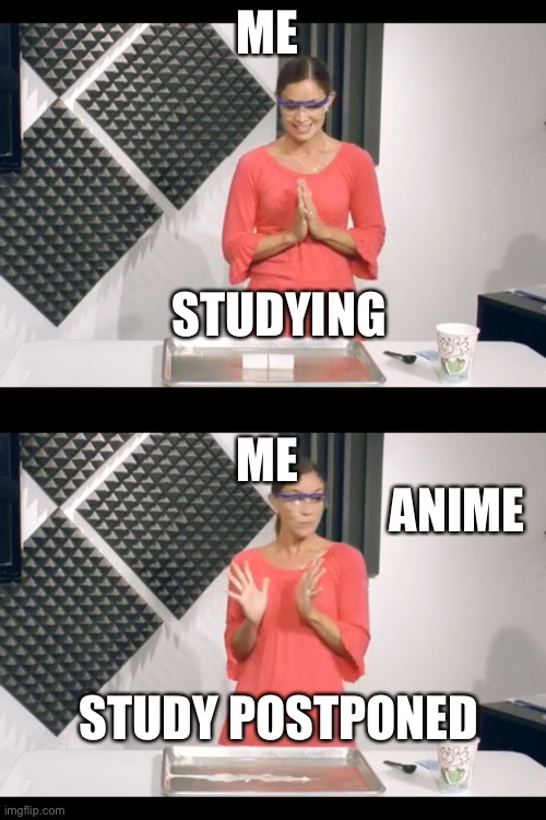we all quit,oof | ME; STUDYING; ME; ANIME; STUDY POSTPONED | image tagged in rekt,study | made w/ Imgflip meme maker