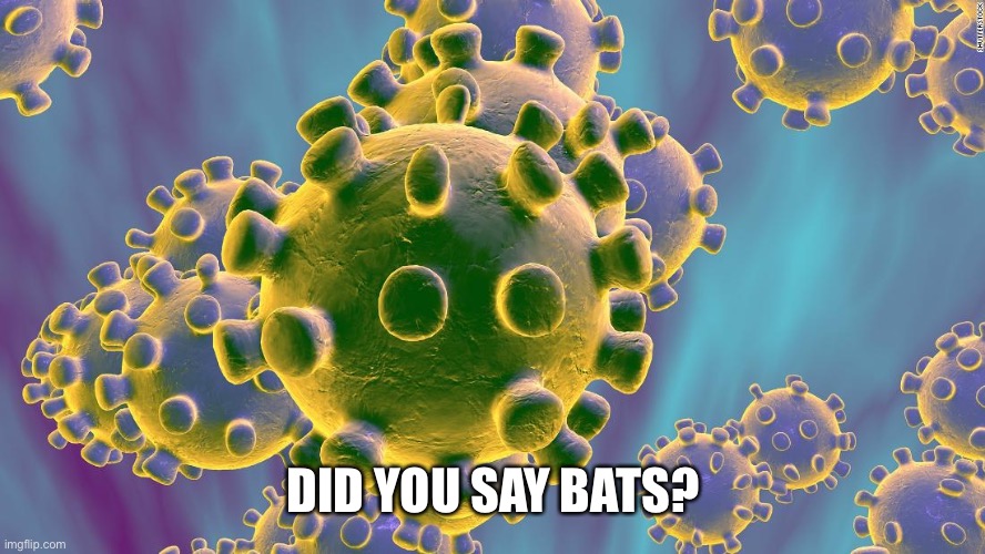 Coronavirus | DID YOU SAY BATS? | image tagged in coronavirus | made w/ Imgflip meme maker