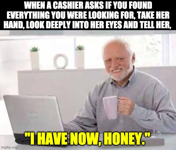 Harold | WHEN A CASHIER ASKS IF YOU FOUND EVERYTHING YOU WERE LOOKING FOR, TAKE HER HAND, LOOK DEEPLY INTO HER EYES AND TELL HER, "I HAVE NOW, HONEY." | image tagged in harold | made w/ Imgflip meme maker