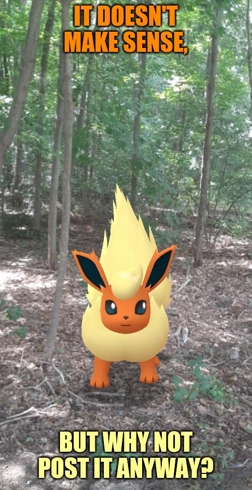 A pic of firey boi I took xD | IT DOESN'T MAKE SENSE, BUT WHY NOT POST IT ANYWAY? | image tagged in autocorrect,sucks | made w/ Imgflip meme maker
