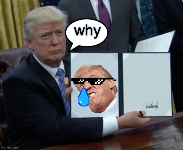 why meme | why | image tagged in memes,trump bill signing | made w/ Imgflip meme maker