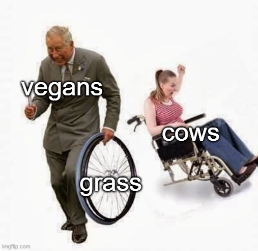 just a simple meme | vegans; cows; grass | image tagged in old man steals wheelchair wheel,grass,cow,vegan,funny,memes | made w/ Imgflip meme maker