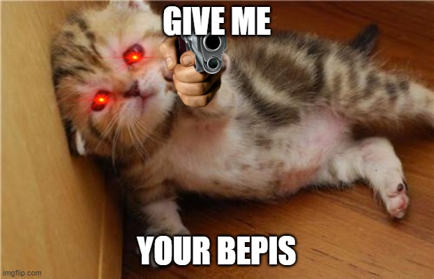 surrender ur bepis | GIVE ME; YOUR BEPIS | image tagged in help me kitten,bepis,pepsi,kittens,funny memes,evil | made w/ Imgflip meme maker