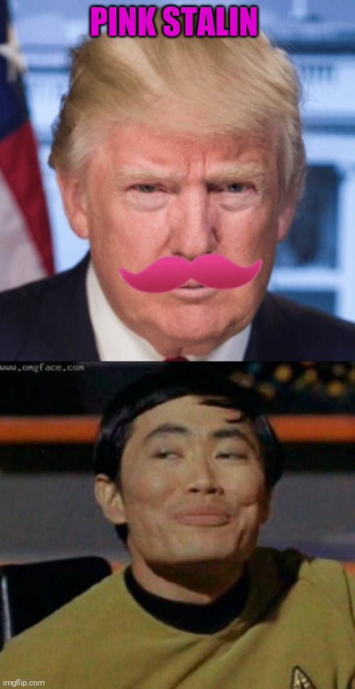 He does look like him | PINK STALIN | image tagged in donald trump,gay,stalin | made w/ Imgflip meme maker