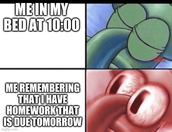 Squidward sleeping | ME IN MY BED AT 10:00; ME REMEMBERING THAT I HAVE HOMEWORK THAT IS DUE TOMORROW | image tagged in squidward sleeping | made w/ Imgflip meme maker