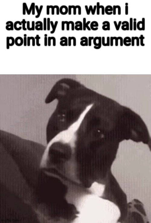 smells like disrespect | My mom when i actually make a valid point in an argument | image tagged in mom,funny,dogs | made w/ Imgflip meme maker
