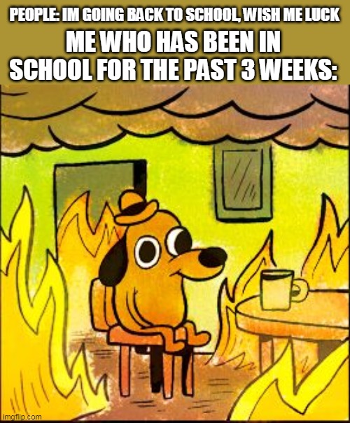 This is fine | PEOPLE: IM GOING BACK TO SCHOOL, WISH ME LUCK; ME WHO HAS BEEN IN SCHOOL FOR THE PAST 3 WEEKS: | image tagged in this is fine | made w/ Imgflip meme maker