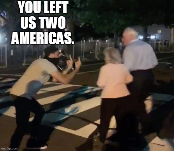 Flipping off boomers | YOU LEFT US TWO AMERICAS. | image tagged in protester flipping off old couple,baby boomers | made w/ Imgflip meme maker