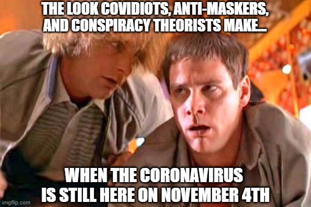 COVID is still here.... | THE LOOK COVIDIOTS, ANTI-MASKERS, AND CONSPIRACY THEORISTS MAKE... WHEN THE CORONAVIRUS 
IS STILL HERE ON NOVEMBER 4TH | image tagged in covid-19,coronavirus | made w/ Imgflip meme maker