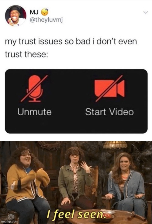 I feel seen. Even when these are off (or are they?) | image tagged in i feel seen still,trust,trust issues,skype,video,oof | made w/ Imgflip meme maker