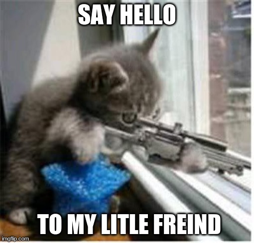 cats with guns | SAY HELLO; TO MY LITLE FREIND | image tagged in cats with guns | made w/ Imgflip meme maker