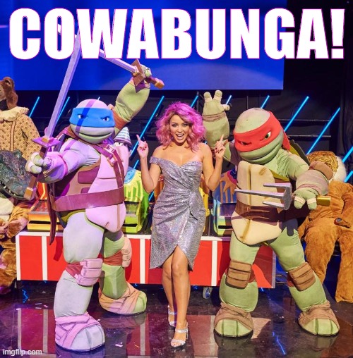 Did u know the Mods are back in business @ danniiminogue stream? Now u do | COWABUNGA! | image tagged in dannii ninja turtles,teenage mutant ninja turtles,cowabunga it is,tv show,tv shows,pink | made w/ Imgflip meme maker