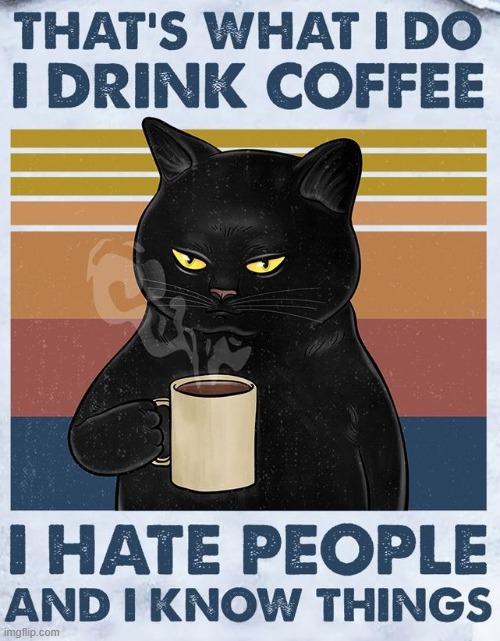 Cat redux and remix of this legendary Tyrion quote | image tagged in drink coffee hate people know things,quotes,quote,movie quotes,coffee,cats | made w/ Imgflip meme maker