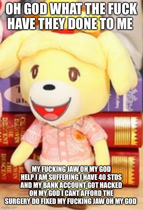 OH GOD WHAT THE FUCK HAVE THEY DONE TO ME; MY FUCKING JAW OH MY GOD HELP I AM SUFFERING I HAVE 40 STDS AND MY BANK ACCOUNT GOT HACKED OH MY GOD I CANT AFFORD THE SURGERY DO FIXED MY FUCKING JAW OH MY GOD | image tagged in animalcrossingmeme | made w/ Imgflip meme maker