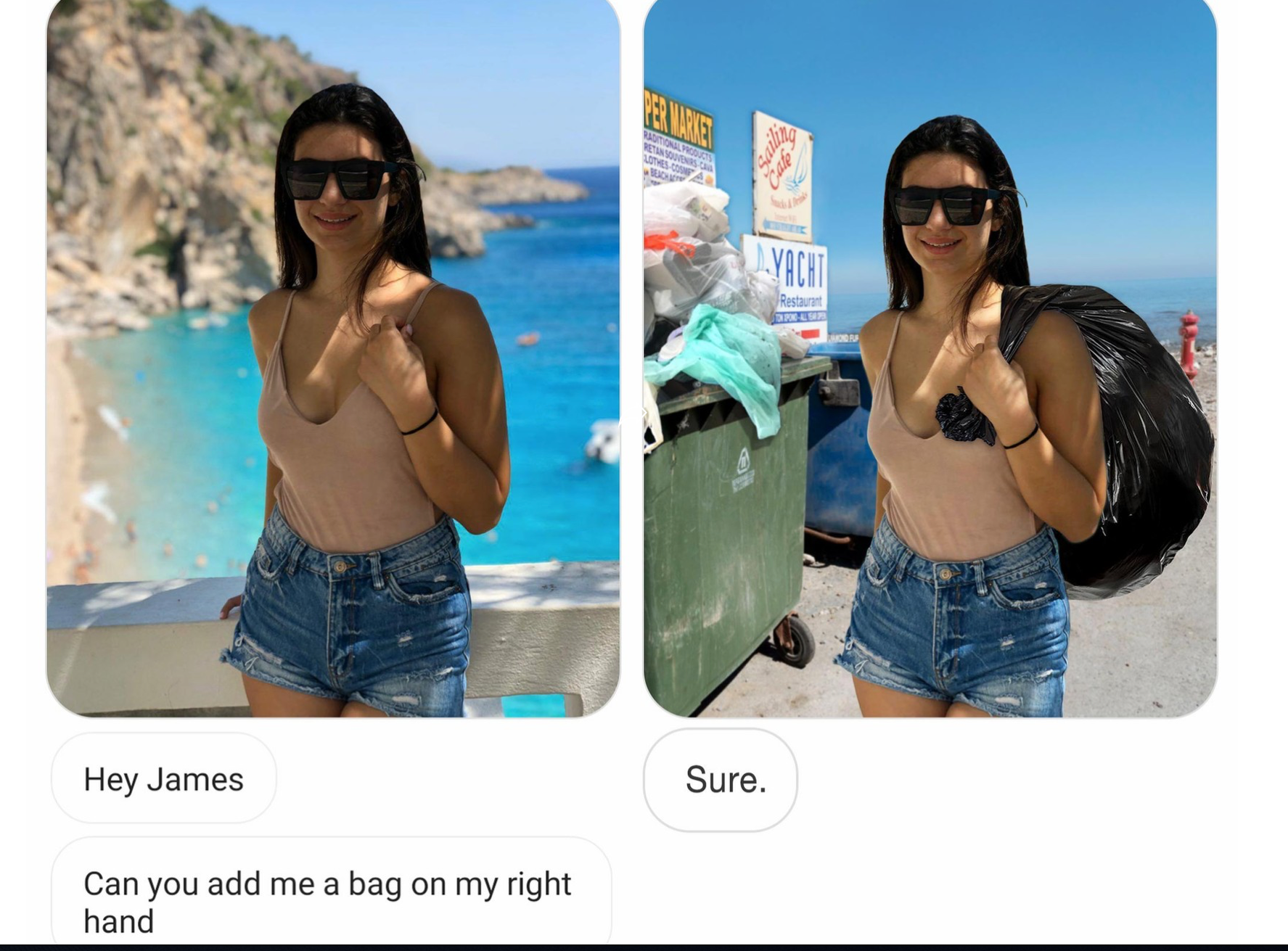 James Fridman Bag Blank Meme Template