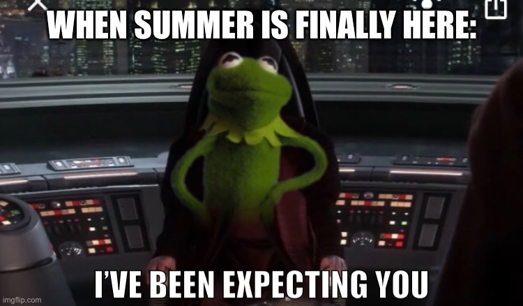 When Summer is Here | WHEN SUMMER IS FINALLY HERE: | image tagged in funny | made w/ Imgflip meme maker