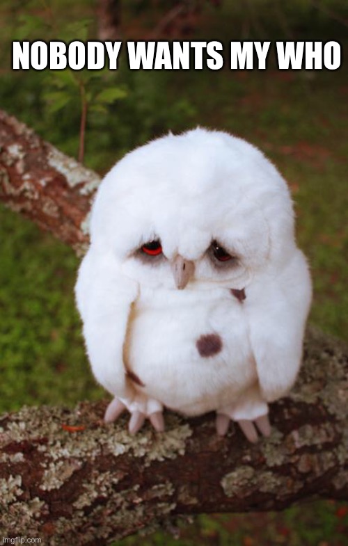 sad owl | NOBODY WANTS MY WHO | image tagged in sad owl | made w/ Imgflip meme maker