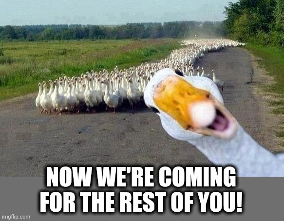 GOOSE | NOW WE'RE COMING FOR THE REST OF YOU! | image tagged in goose | made w/ Imgflip meme maker