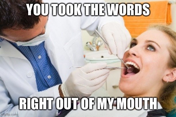 dentist | YOU TOOK THE WORDS RIGHT OUT OF MY MOUTH | image tagged in dentist | made w/ Imgflip meme maker