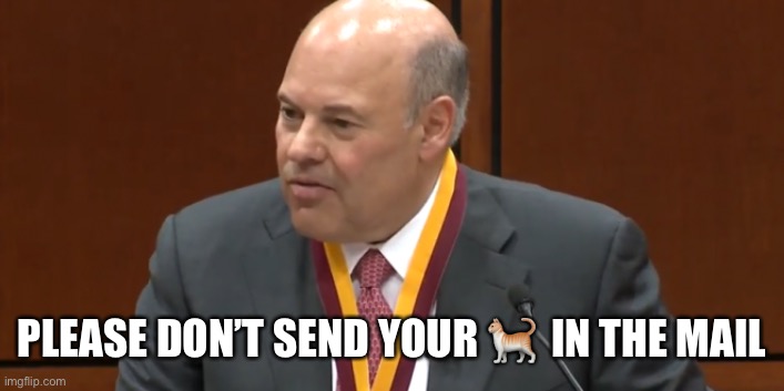 Who sends pets in the mail?! | PLEASE DON’T SEND YOUR 🐈  IN THE MAIL | image tagged in louis dejoy trump's saboteur at the post office,memes | made w/ Imgflip meme maker