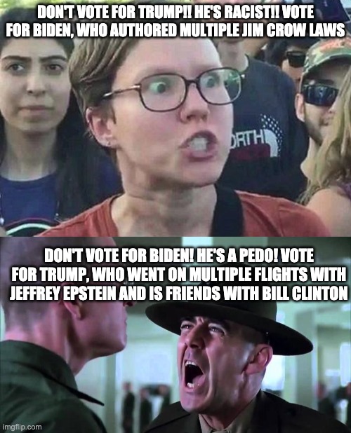 libtards shouldn't be allowed to criticize the rich for doing rich people things because they're hard working :) get trigg'd | DON'T VOTE FOR TRUMP!! HE'S RACIST!! VOTE FOR BIDEN, WHO AUTHORED MULTIPLE JIM CROW LAWS; DON'T VOTE FOR BIDEN! HE'S A PEDO! VOTE FOR TRUMP, WHO WENT ON MULTIPLE FLIGHTS WITH JEFFREY EPSTEIN AND IS FRIENDS WITH BILL CLINTON | image tagged in triggered liberal | made w/ Imgflip meme maker