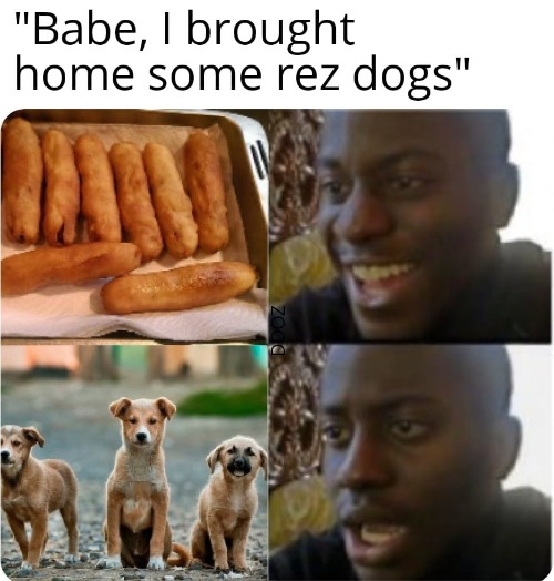 Rez Dogs | image tagged in native american,funny,dog | made w/ Imgflip meme maker