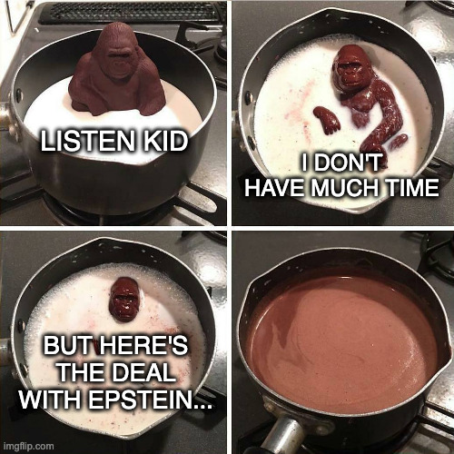 chocolate gorilla | LISTEN KID; I DON'T HAVE MUCH TIME; BUT HERE'S THE DEAL WITH EPSTEIN... | image tagged in chocolate gorilla | made w/ Imgflip meme maker