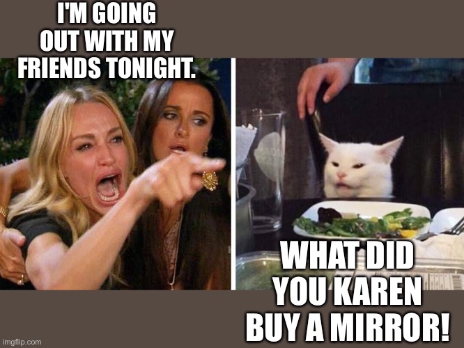 Woman yelling at cat | I'M GOING OUT WITH MY FRIENDS TONIGHT. WHAT DID YOU KAREN BUY A MIRROR! | image tagged in smudge the cat | made w/ Imgflip meme maker