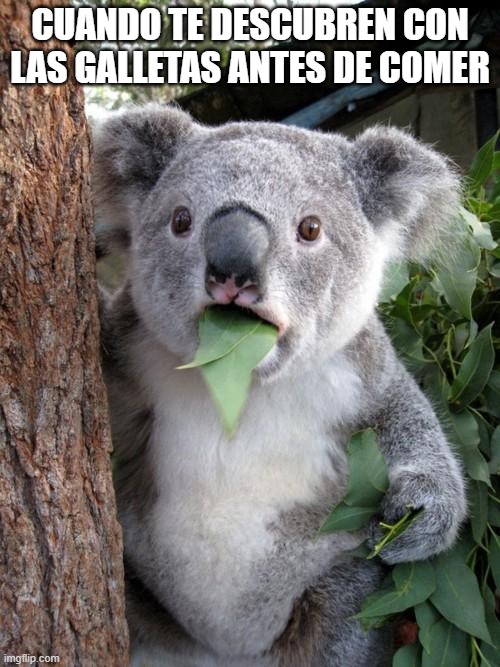 Surprised Koala Meme | CUANDO TE DESCUBREN CON LAS GALLETAS ANTES DE COMER | image tagged in memes,surprised koala | made w/ Imgflip meme maker