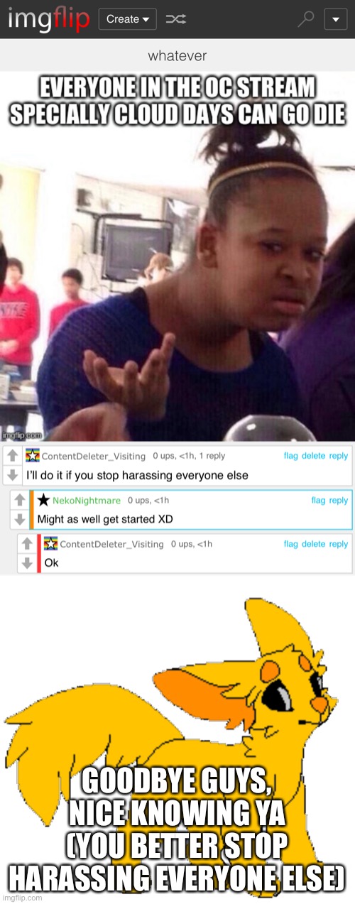 GOODBYE GUYS, NICE KNOWING YA (YOU BETTER STOP HARASSING EVERYONE ELSE) | made w/ Imgflip meme maker