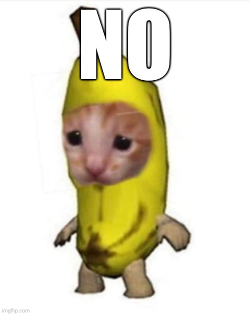 NO | made w/ Imgflip meme maker