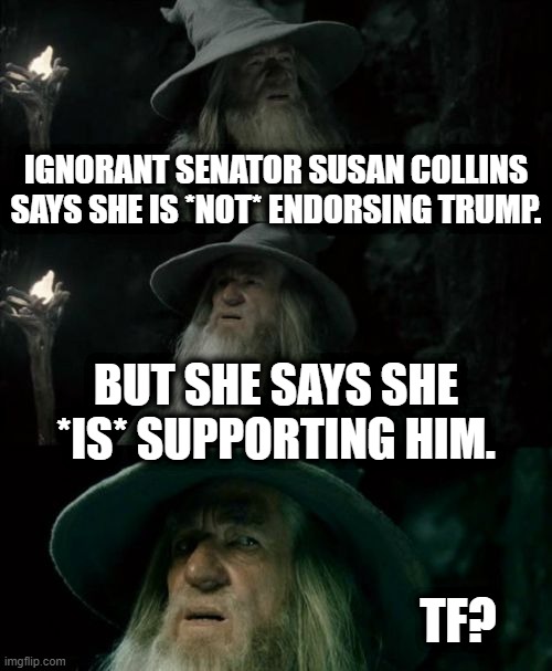 More Republican Logic | IGNORANT SENATOR SUSAN COLLINS SAYS SHE IS *NOT* ENDORSING TRUMP. BUT SHE SAYS SHE *IS* SUPPORTING HIM. TF? | image tagged in memes,confused gandalf,maine,susan collins,republicans,donald trump | made w/ Imgflip meme maker