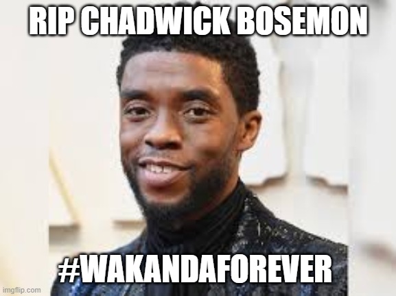 RIP Black Panther | RIP CHADWICK BOSEMON; #WAKANDAFOREVER | image tagged in black panther | made w/ Imgflip meme maker