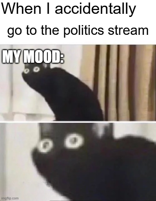 I know some might not agree but....... | When I accidentally; go to the politics stream; MY MOOD: | image tagged in oh no black cat | made w/ Imgflip meme maker