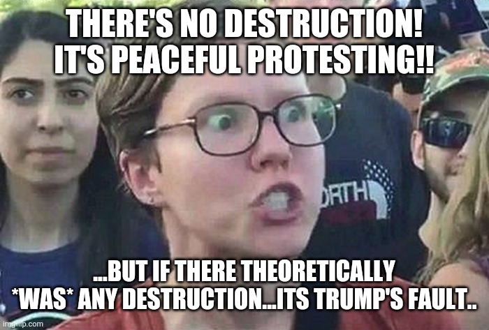 Triggered Liberal | THERE'S NO DESTRUCTION! IT'S PEACEFUL PROTESTING!! ...BUT IF THERE THEORETICALLY *WAS* ANY DESTRUCTION...ITS TRUMP'S FAULT.. | image tagged in triggered liberal | made w/ Imgflip meme maker