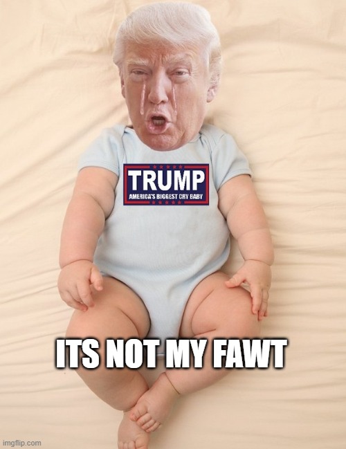Crying Trump Baby | ITS NOT MY FAWT | image tagged in crying trump baby | made w/ Imgflip meme maker