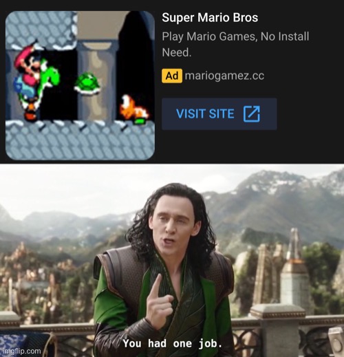 This is not Mario bros | image tagged in you had one job just the one | made w/ Imgflip meme maker