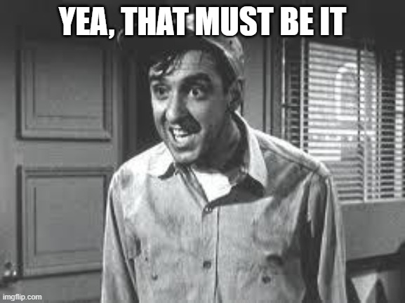 Gomer Pyle | YEA, THAT MUST BE IT | image tagged in gomer pyle | made w/ Imgflip meme maker