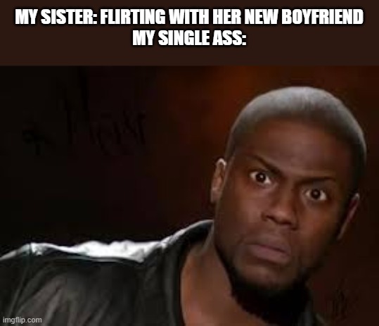 WTF | MY SISTER: FLIRTING WITH HER NEW BOYFRIEND
MY SINGLE ASS: | image tagged in kevin hart the hell | made w/ Imgflip meme maker