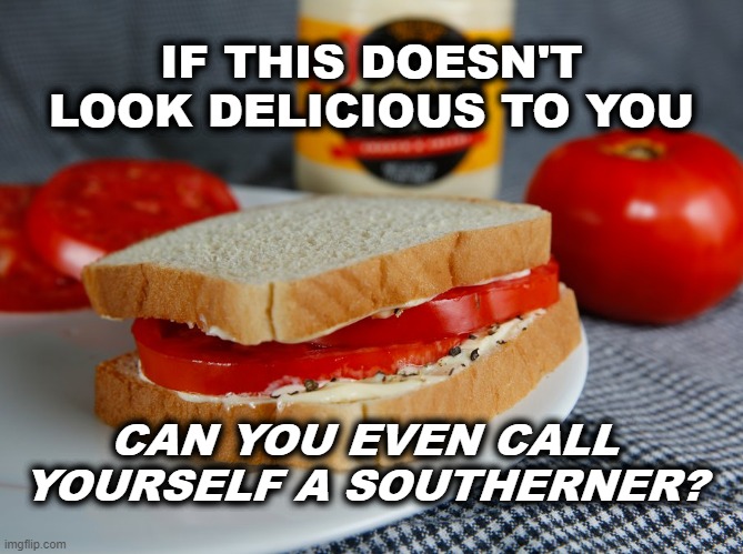 Yummertime |  IF THIS DOESN'T LOOK DELICIOUS TO YOU; CAN YOU EVEN CALL YOURSELF A SOUTHERNER? | image tagged in sandwich,food,tomatoes,southern | made w/ Imgflip meme maker